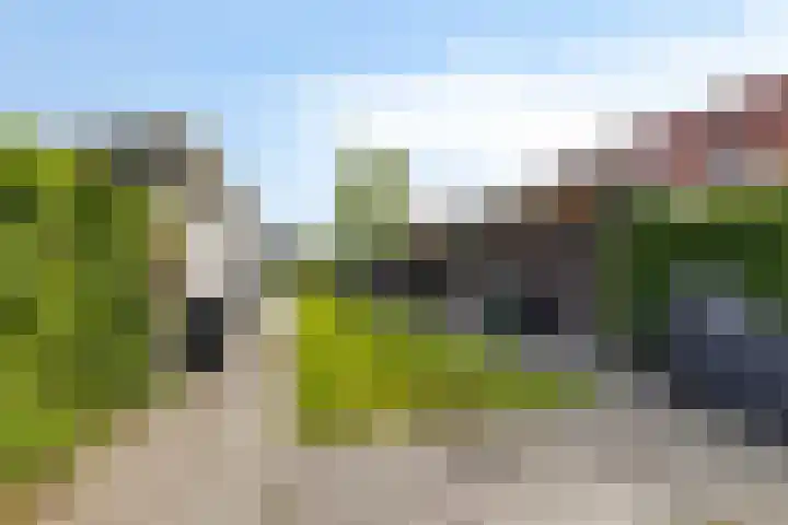Groenveld 16 Middenbeemster thumbnail 47