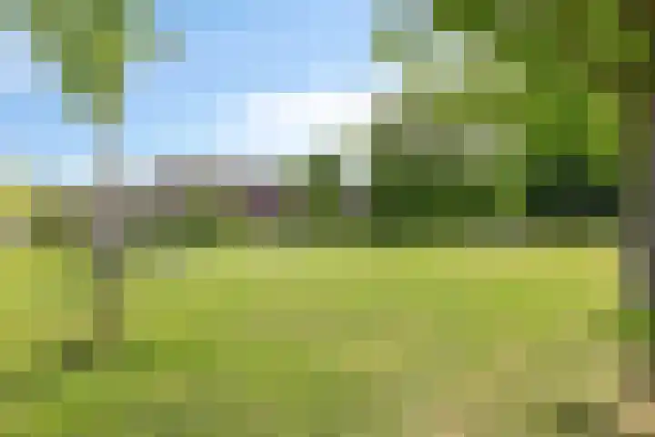 Groenveld 16 Middenbeemster thumbnail 48