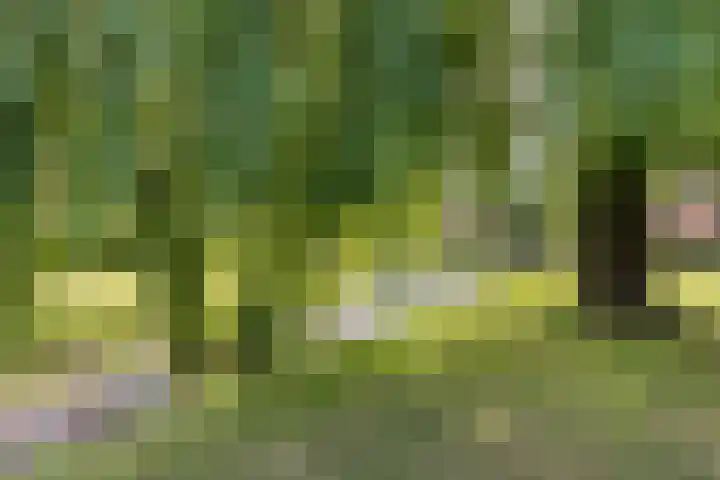 Groenveld 16 Middenbeemster thumbnail 49