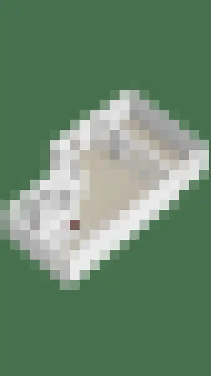 Groenveld 16 Middenbeemster thumbnail 54
