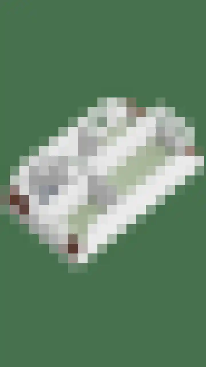 Groenveld 16 Middenbeemster thumbnail 56
