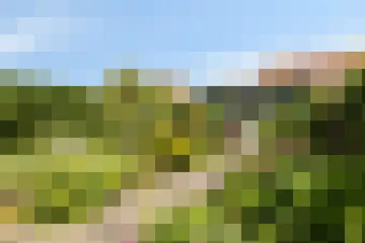 Groenveld 16 Middenbeemster thumbnail 6