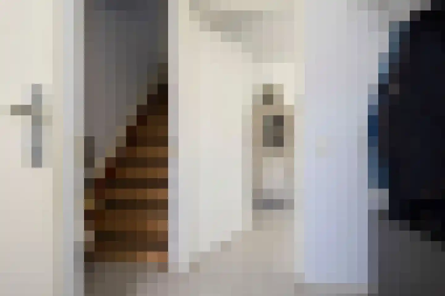 Groenveld 3 Middenbeemster thumbnail 11