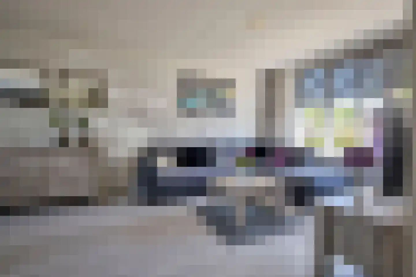 Groenveld 3 Middenbeemster thumbnail 13