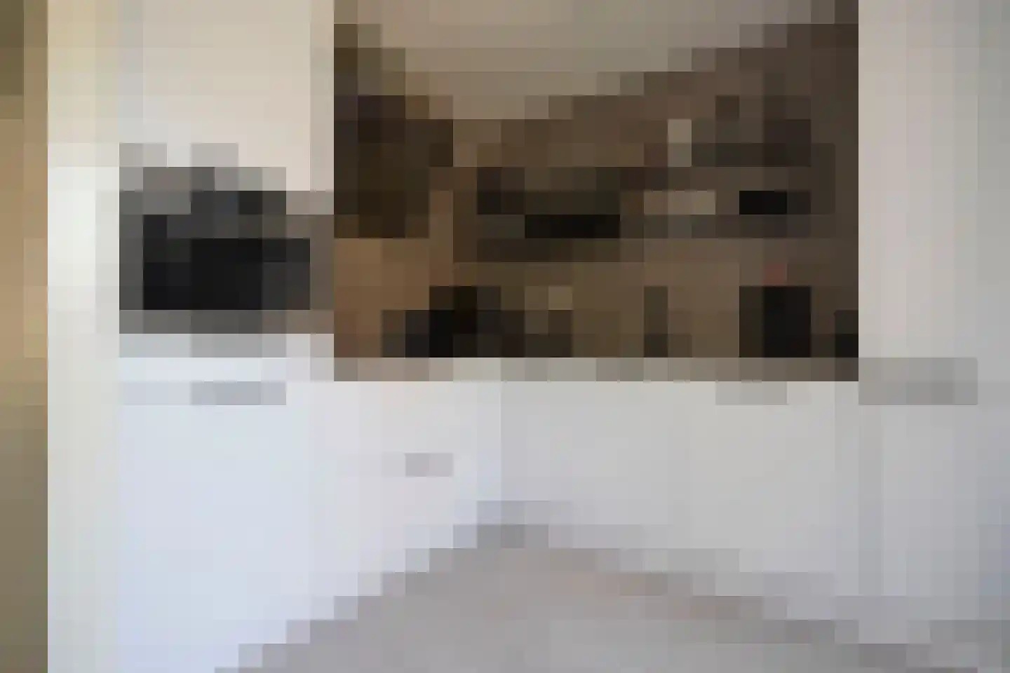 Groenveld 3 Middenbeemster thumbnail 19