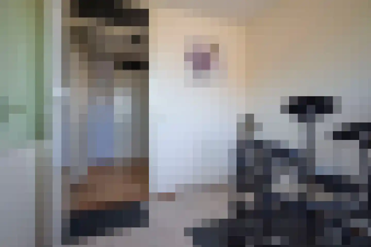 Groenveld 3 Middenbeemster thumbnail 30