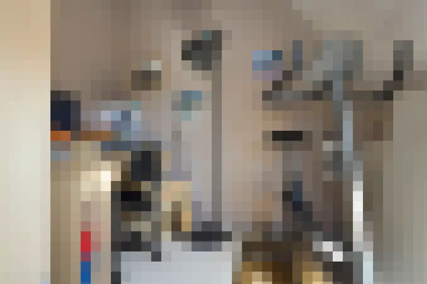 Groenveld 3 Middenbeemster thumbnail 32