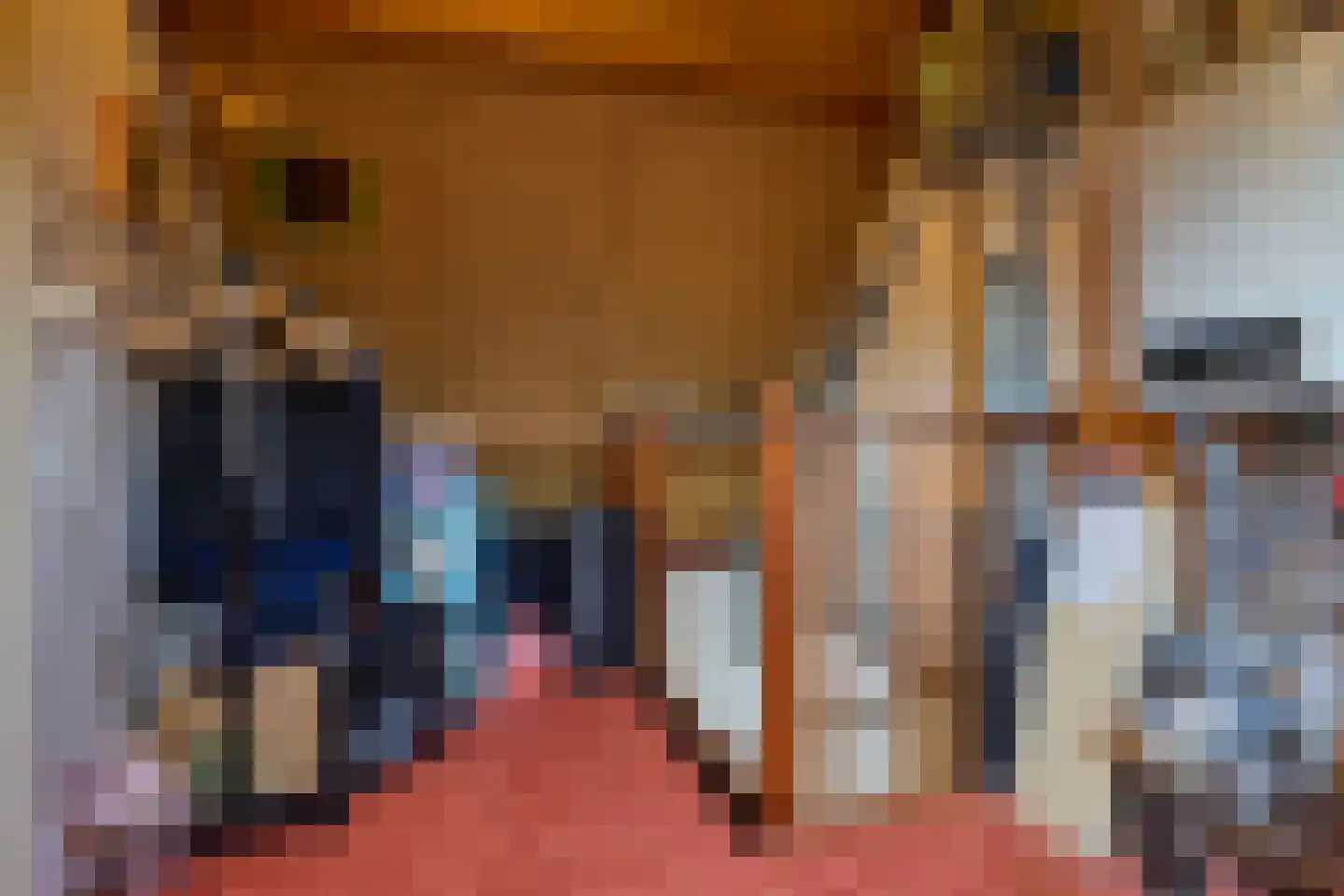 Groenveld 3 Middenbeemster thumbnail 40