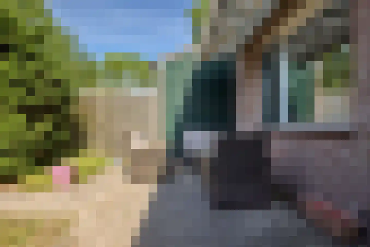 Groenveld 3 Middenbeemster thumbnail 44