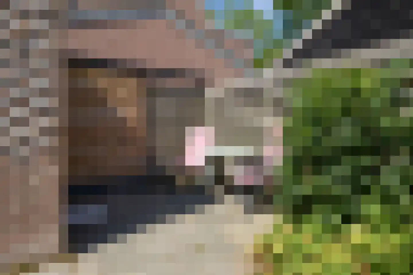 Groenveld 3 Middenbeemster thumbnail 46
