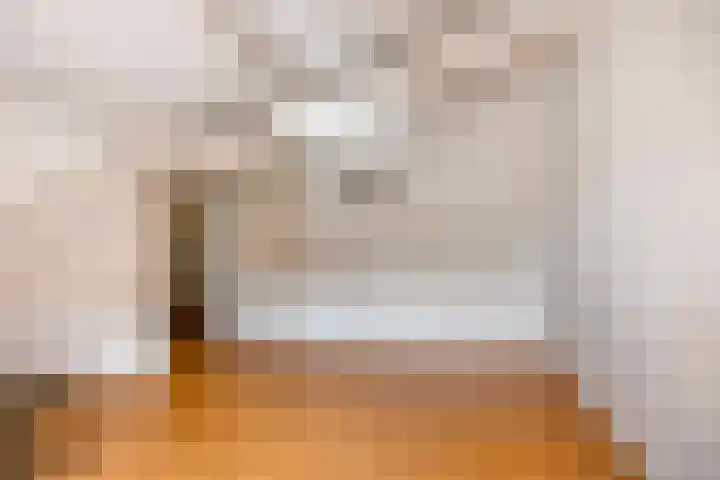 Groenveld 5 Deurne thumbnail 30
