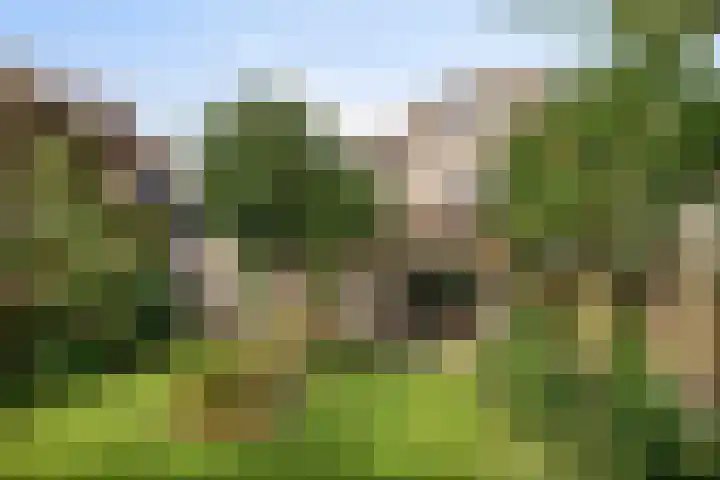 Groenveld 5 Deurne thumbnail 31