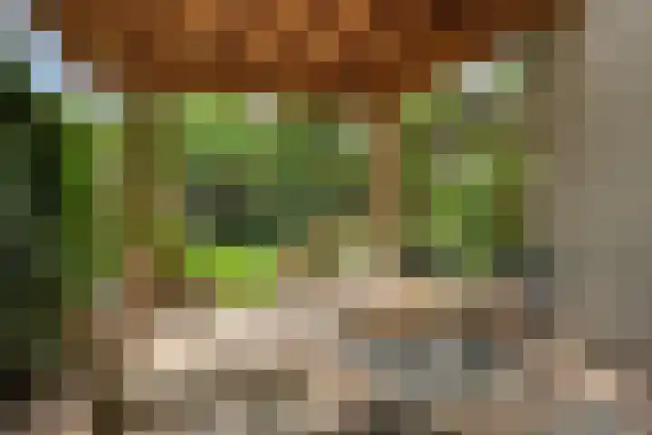 Groenveld 5 Deurne thumbnail 33
