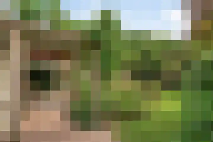 Groenveld 5 Deurne thumbnail 34