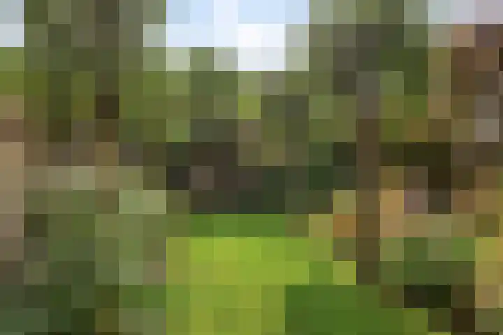 Groenveld 5 Deurne thumbnail 35