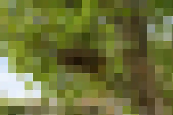 Groenveld 5 Deurne thumbnail 36