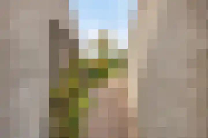 Groenveld 5 Deurne thumbnail 37