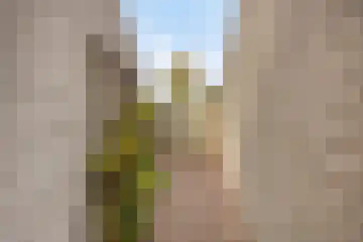 Groenveld 5 Deurne thumbnail 38