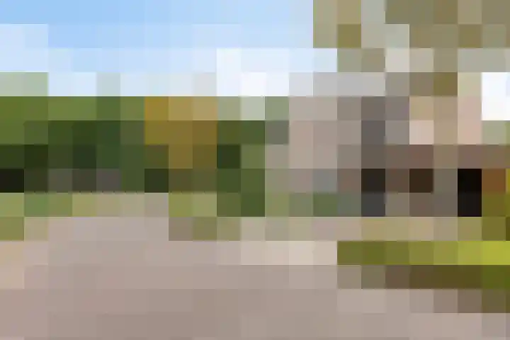 Groenveld 5 Deurne thumbnail 41
