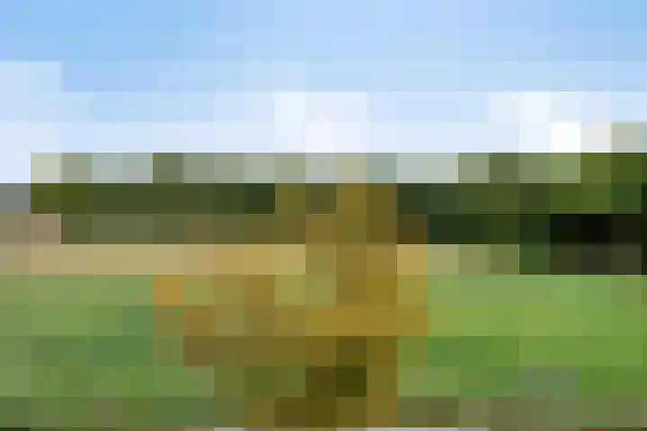 Groenveld 5 Deurne thumbnail 42
