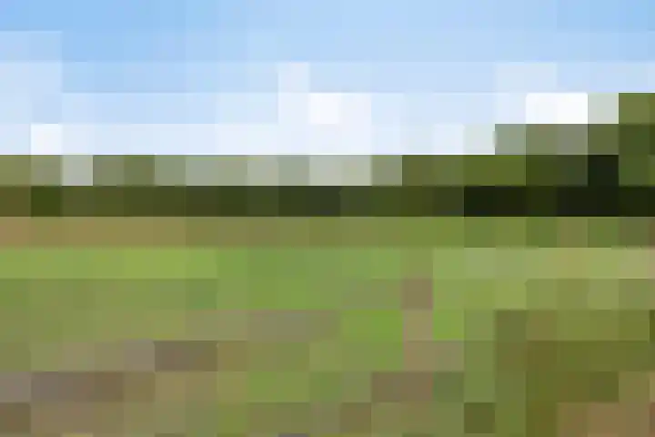 Groenveld 5 Deurne thumbnail 43
