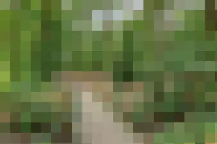 Groenveld 5 Deurne thumbnail 44