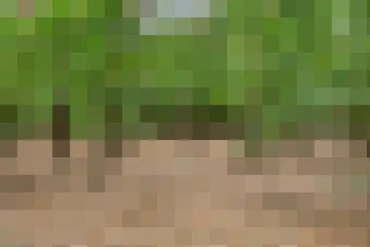 Groenveld 5 Deurne thumbnail 45