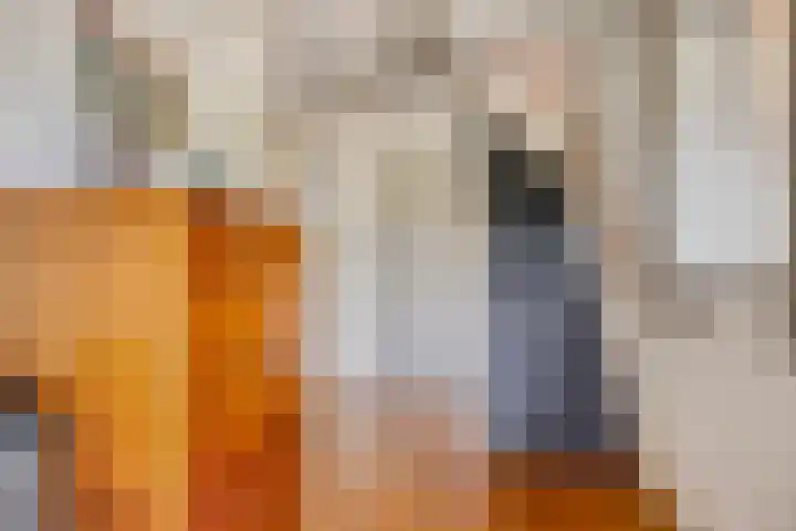 Groenveld 5 Deurne thumbnail 6