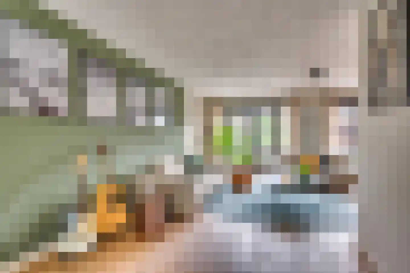 Groenveldsingel 41 Venlo thumbnail 7