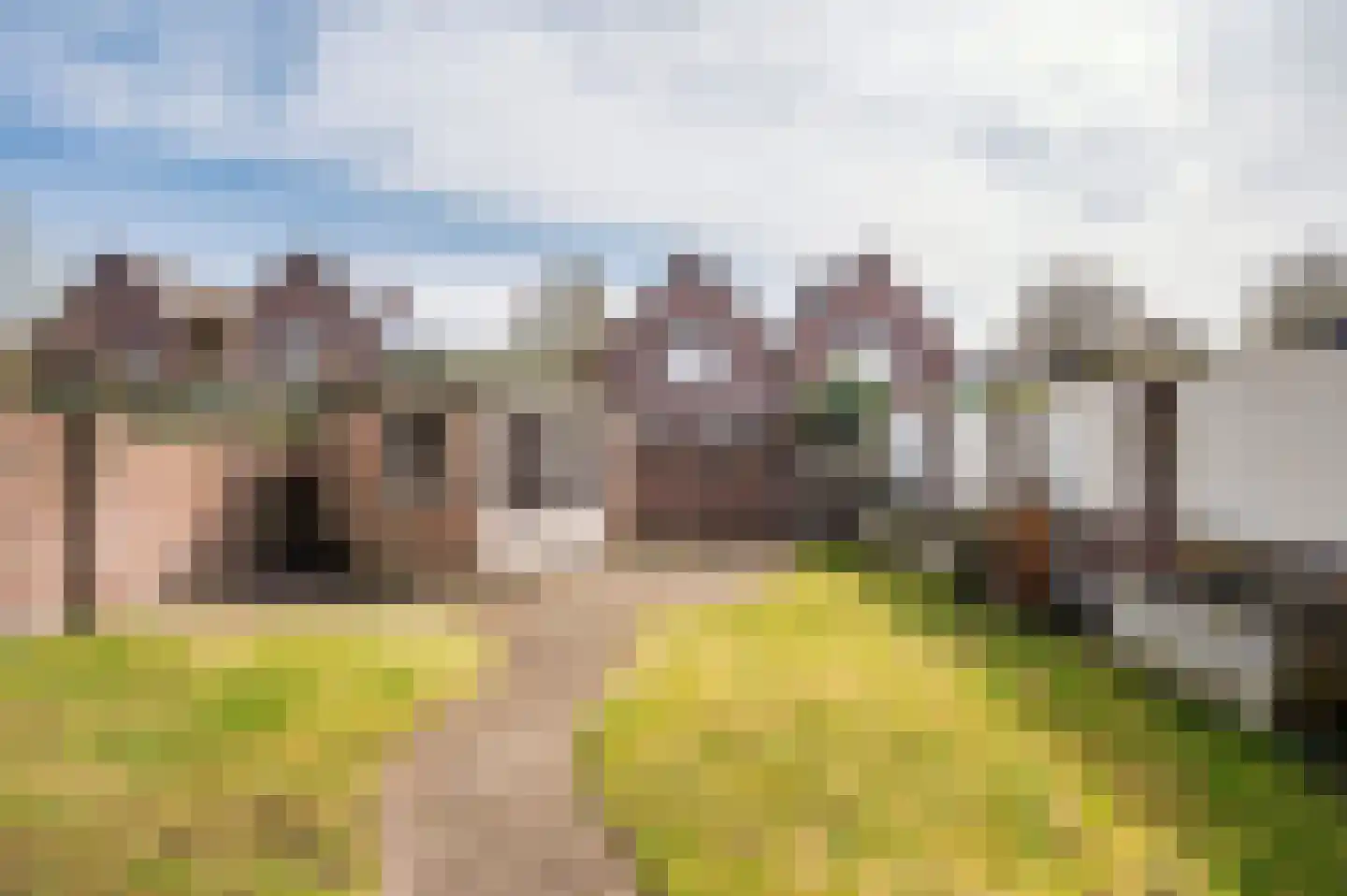 Groenveldsingel 57 Venlo thumbnail 29