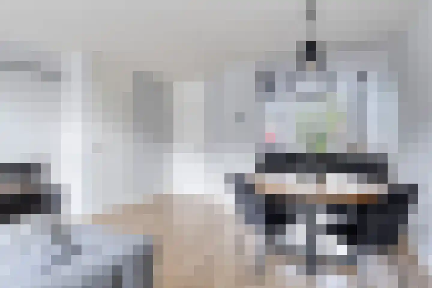 Groenvink 15 Veenendaal thumbnail 14