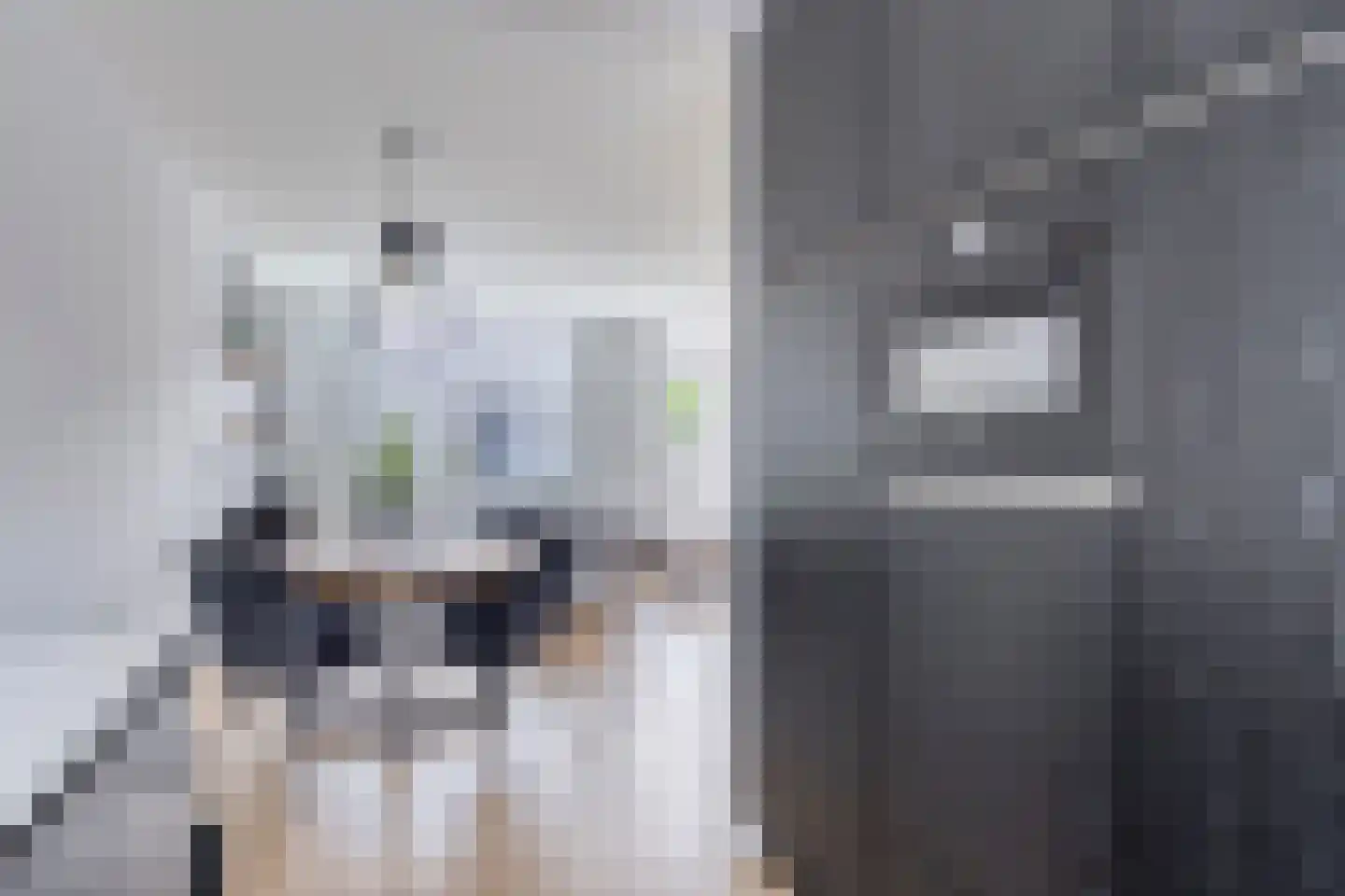 Groenvink 15 Veenendaal thumbnail 15