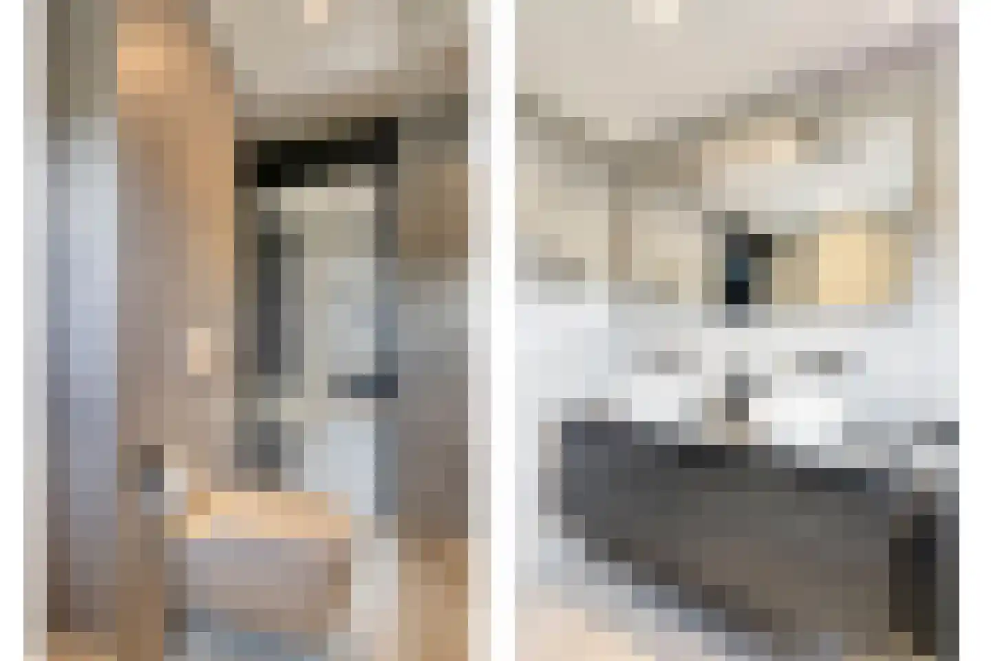 Groenvink 15 Veenendaal thumbnail 23