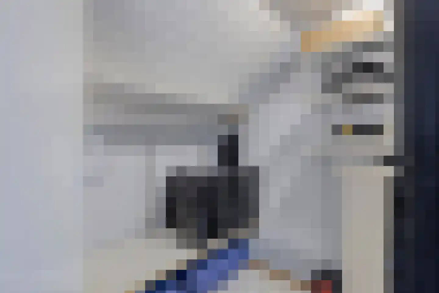 Groenvink 15 Veenendaal thumbnail 26
