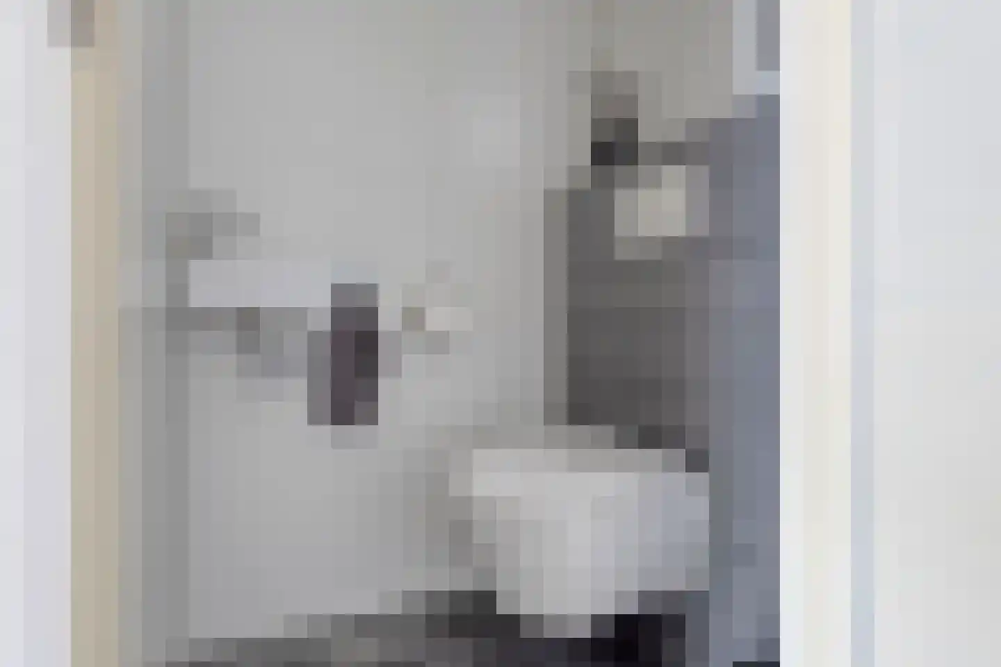 Groenvink 15 Veenendaal thumbnail 8