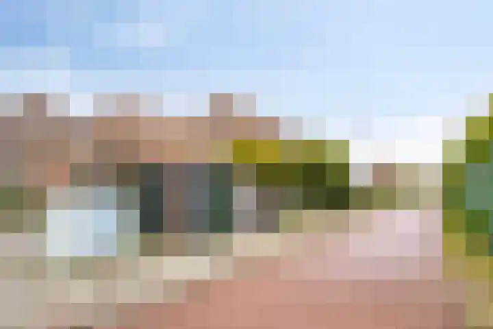 Groenvink 33 Veenendaal thumbnail 23
