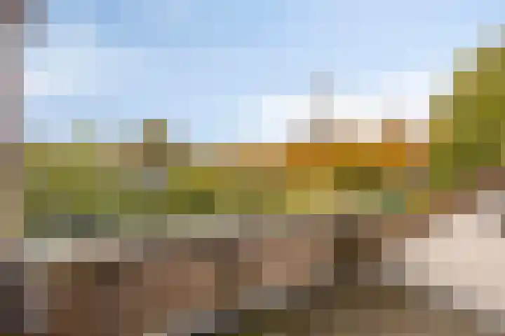 Groenvink 33 Veenendaal thumbnail 26