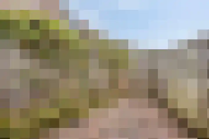 Groenvink 33 Veenendaal thumbnail 27