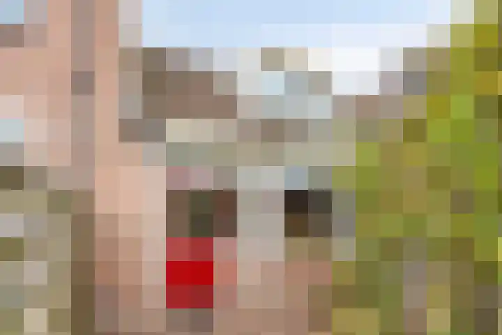 Groenvink 33 Veenendaal thumbnail 28