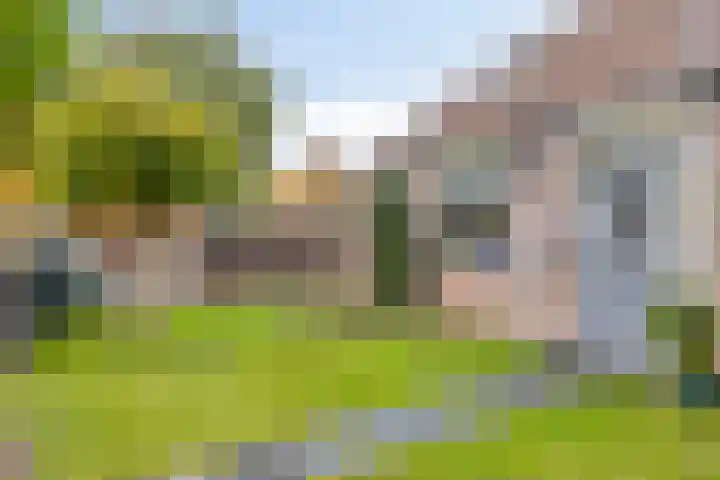 Groenvink 33 Veenendaal thumbnail 5