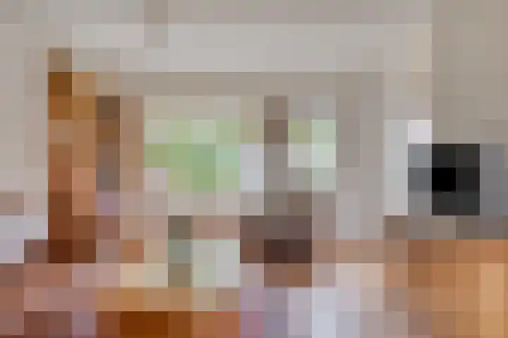 Groenvink 33 Veenendaal thumbnail 9