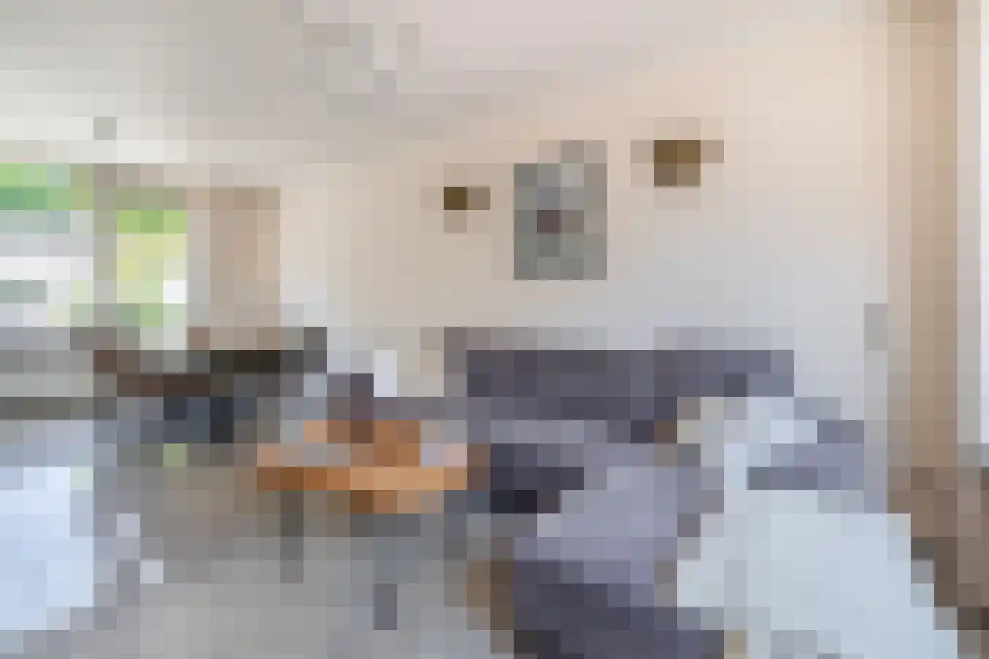 Groenvinkweg 7 Venlo thumbnail 6