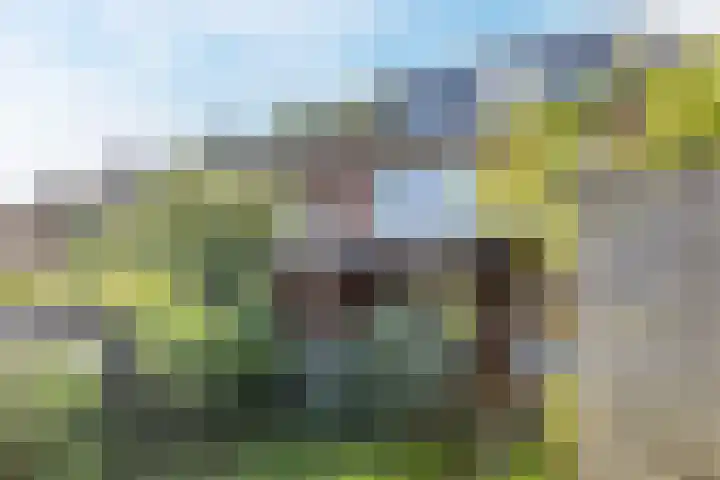 Groenvoort 21 Gilze thumbnail 11