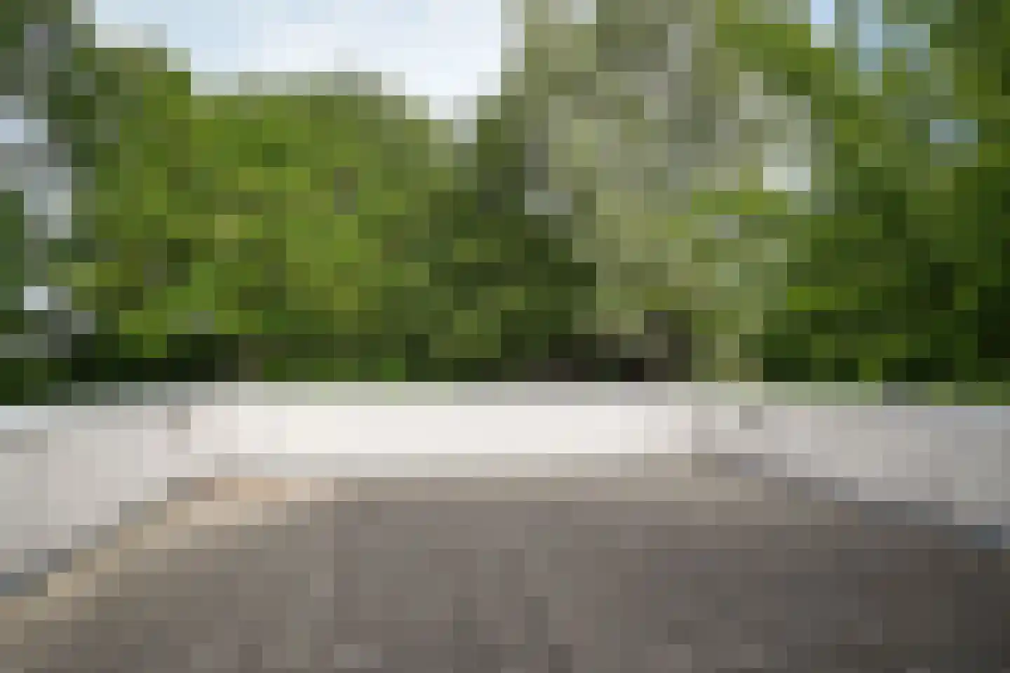 Groenwal 25 Zaltbommel thumbnail 43