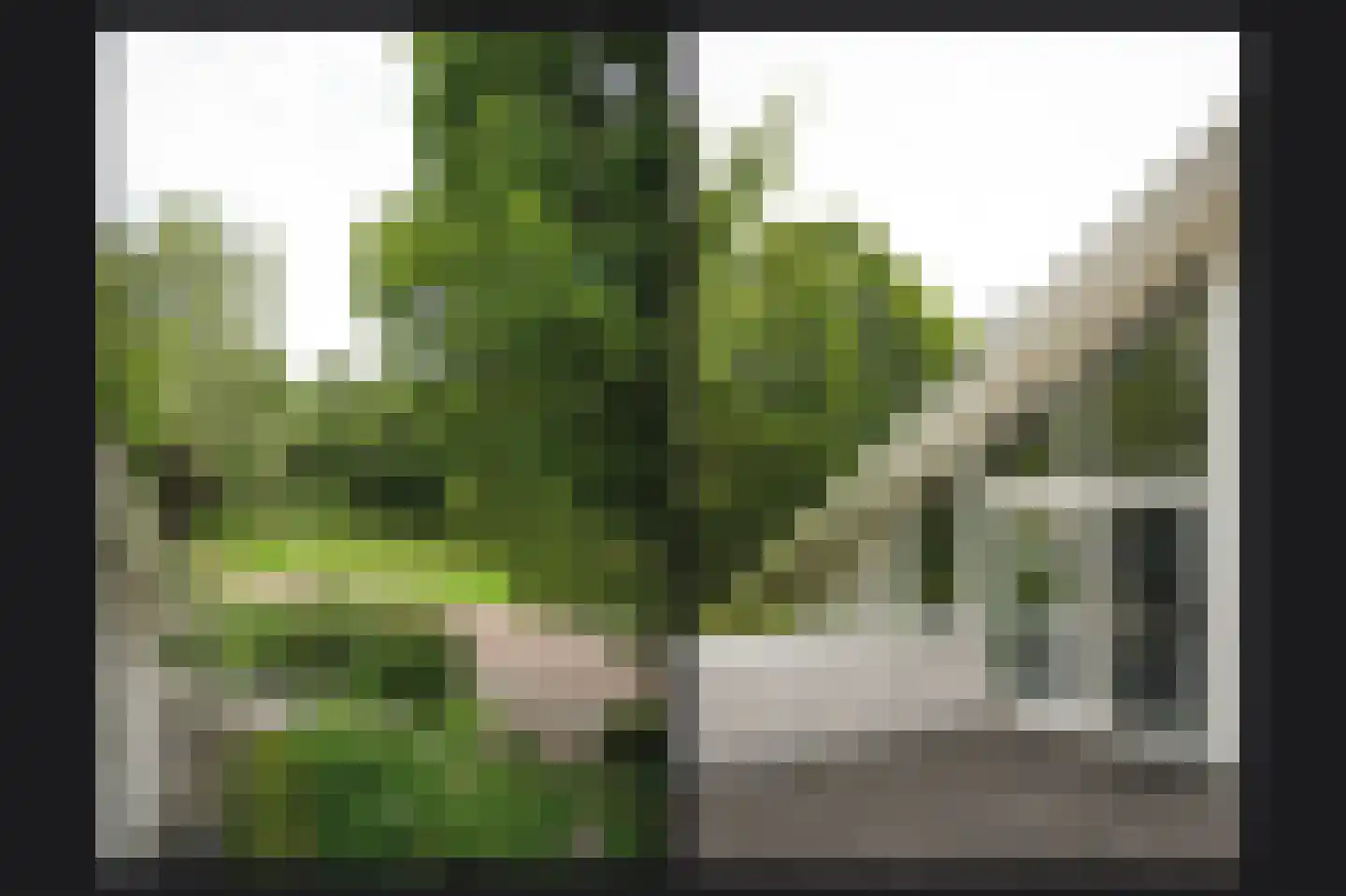 Groenwal 25 Zaltbommel thumbnail 46