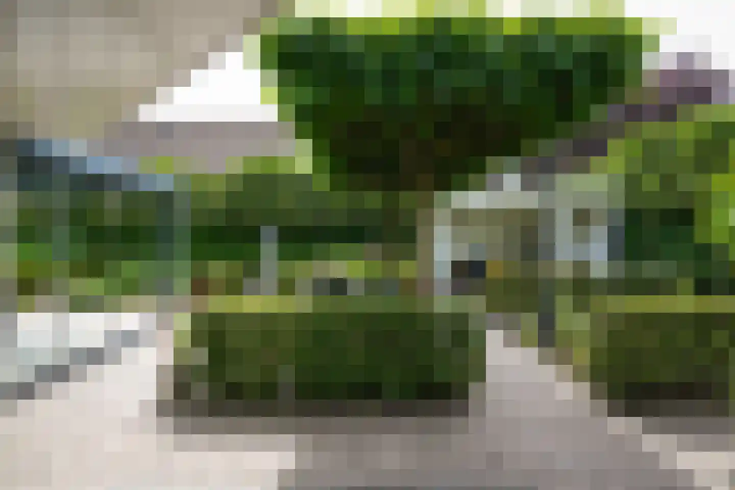 Groenwal 25 Zaltbommel thumbnail 62
