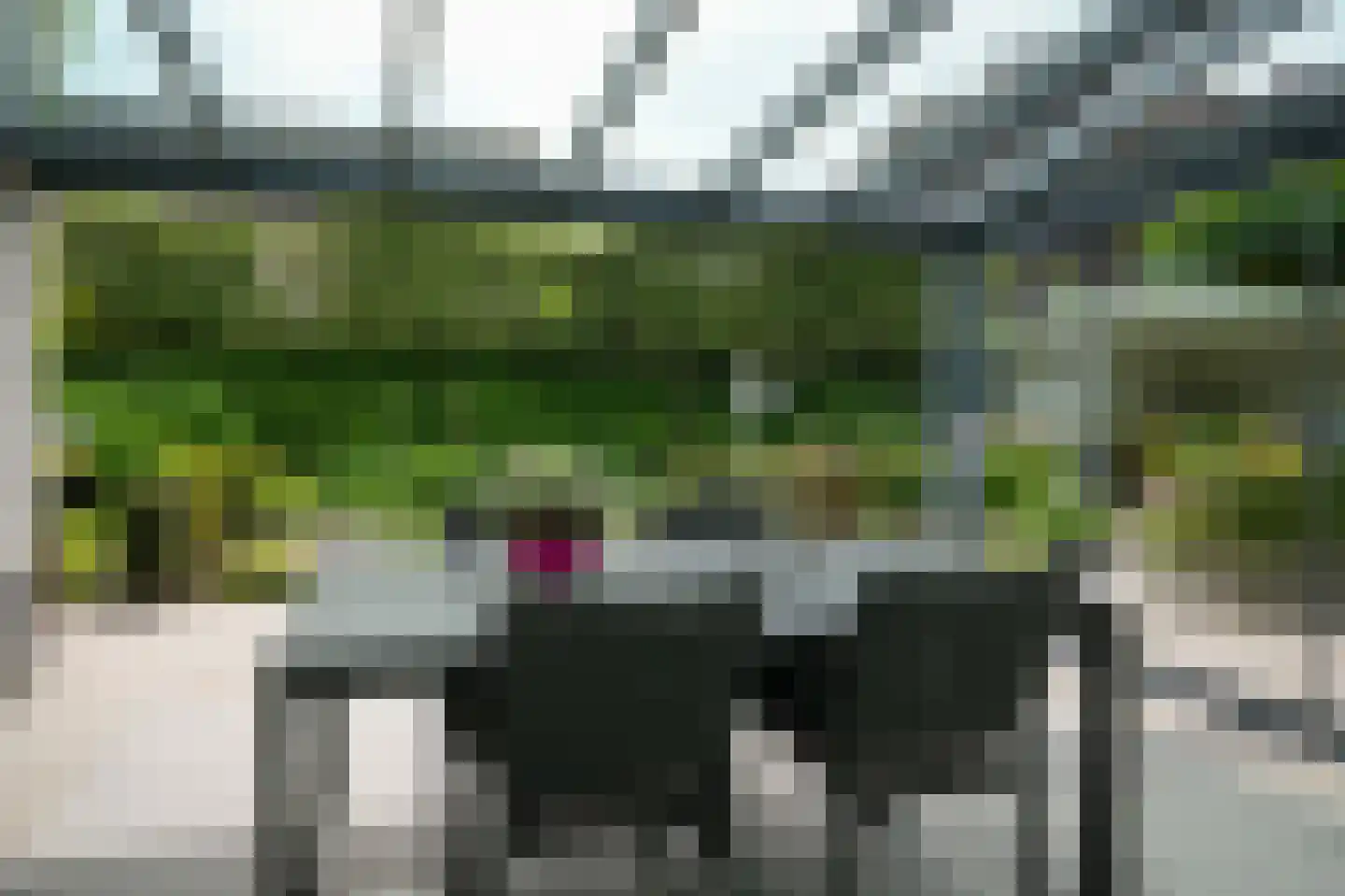 Groenwal 25 Zaltbommel thumbnail 70
