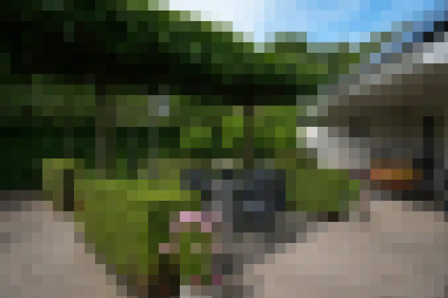 Groenwal 25 Zaltbommel thumbnail 75