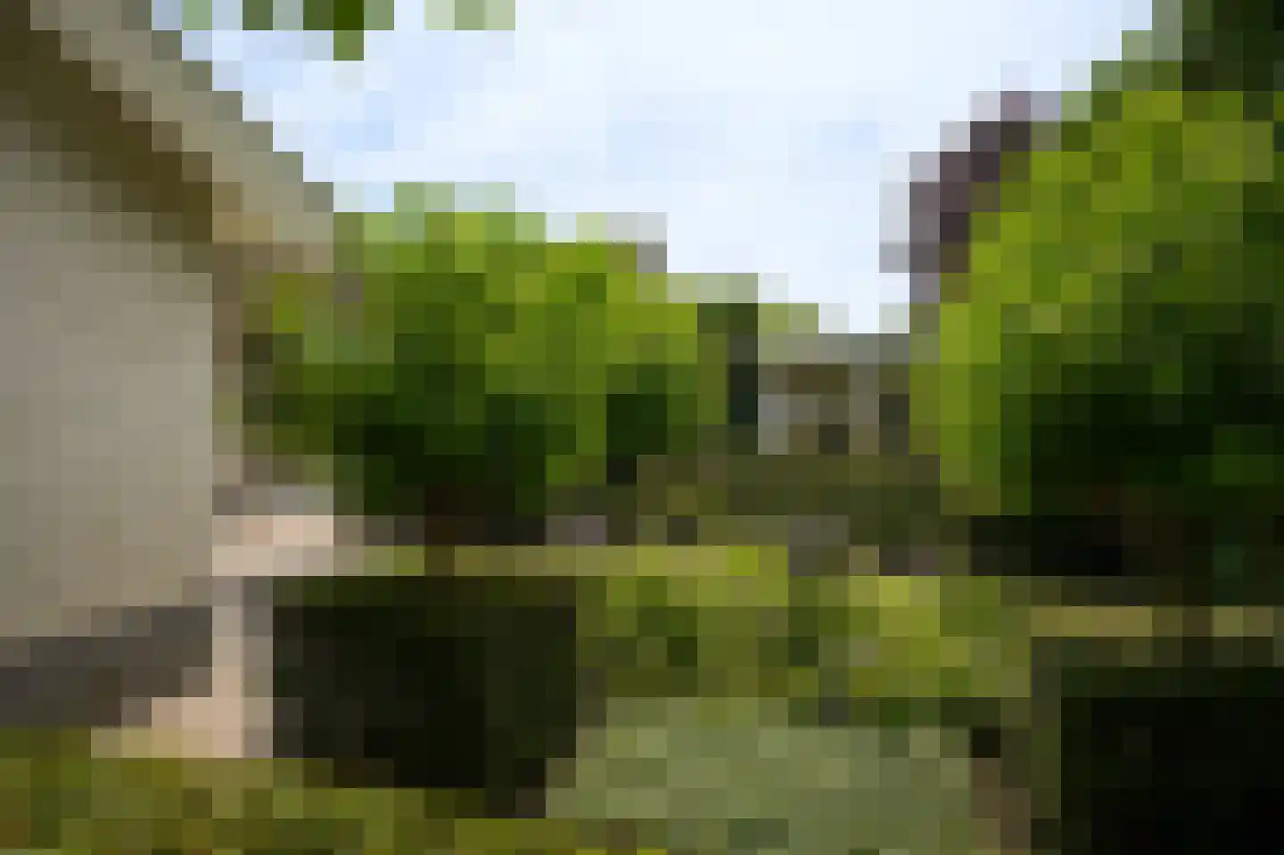 Groenwal 25 Zaltbommel thumbnail 77