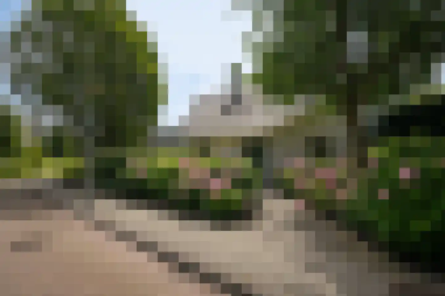 Groenwal 25 Zaltbommel thumbnail 80